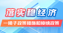 落实稳经济一揽子政策措施和接续政策